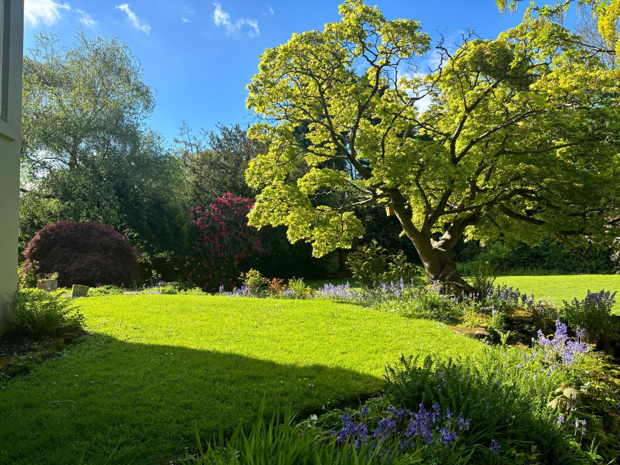 Fabulous Garden With En-suite Homestay
